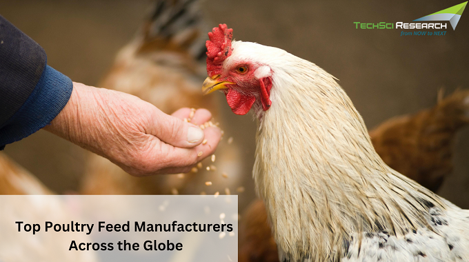 Top 10 Poultry Feed Manufacturers Across the Globe: A Comprehensive Overview